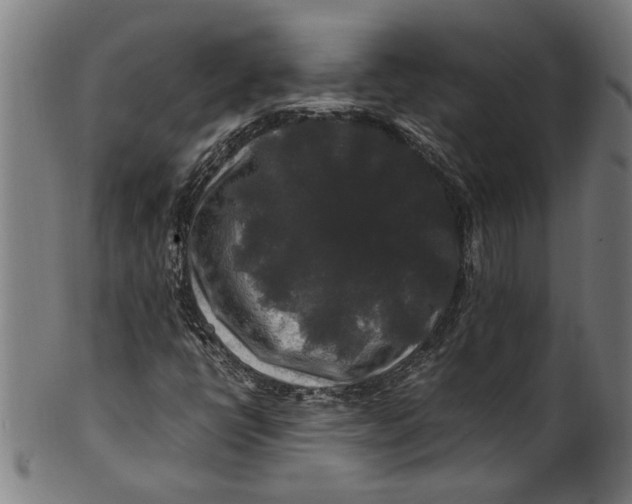 X0000100881398200807111331