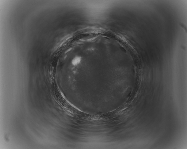 X0000100881399200807111331