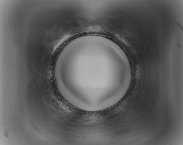 X0000100881400200807111331