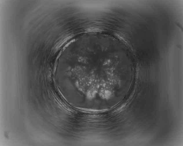 X0000100881401200807111331