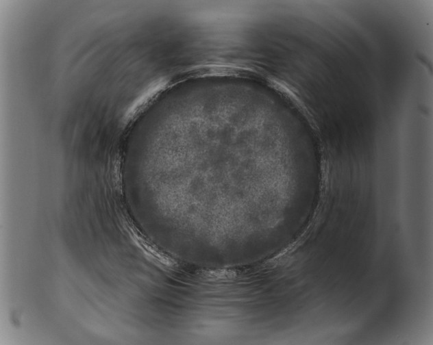 X0000100881403200807111331