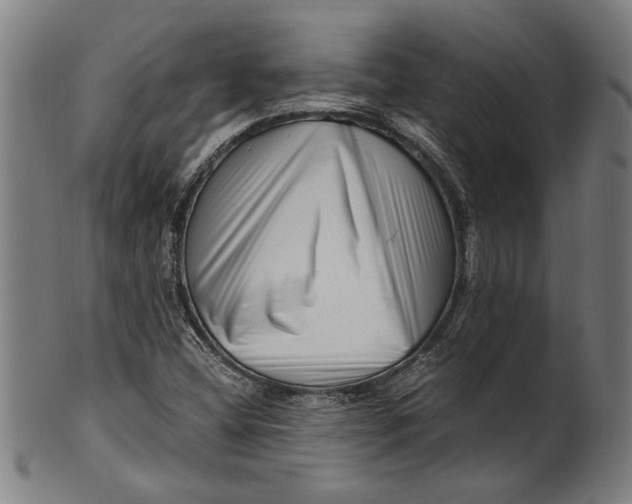 X0000100881404200807111331