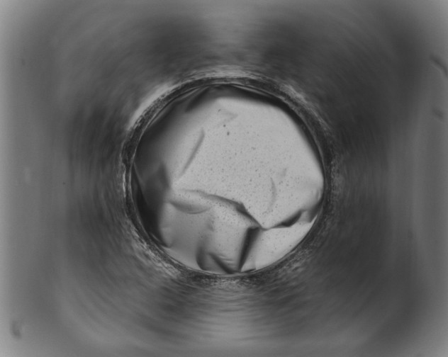 X0000100881408200807111331