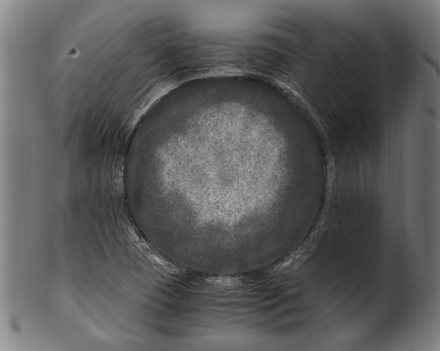 X0000100881409200807111331