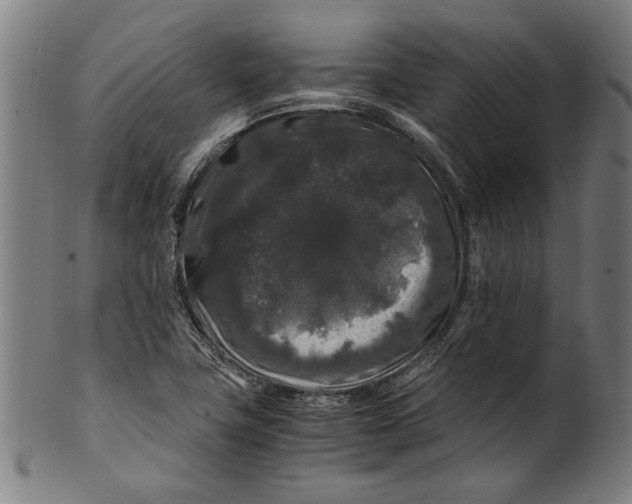 X0000100881411200807111331