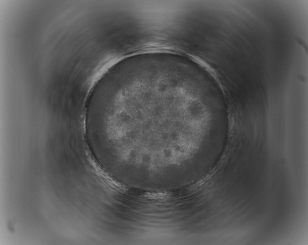 X0000100881415200807111331