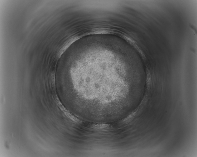 X0000100881417200807111331