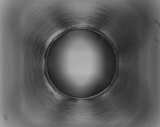 X0000100881418200807111331