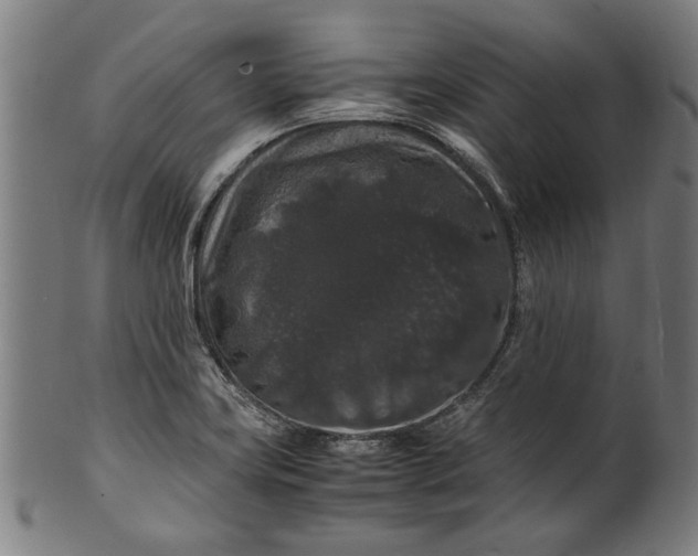 X0000100881419200807111331