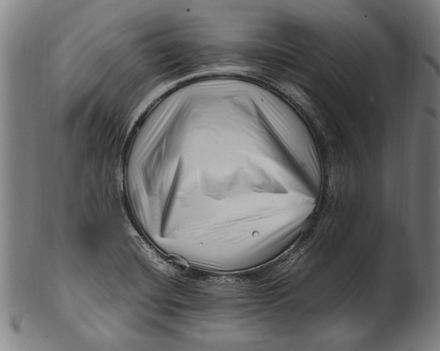 X0000100881420200807111331