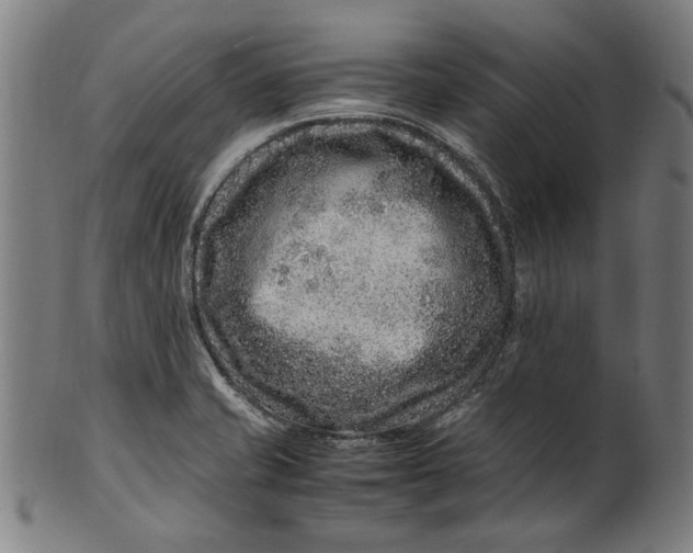 X0000100881421200807111331