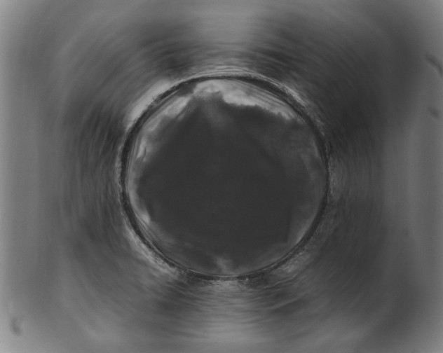 X0000100881422200807111331