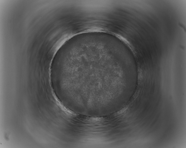 X0000100881423200807111331