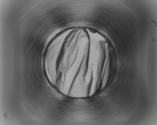 X0000100881424200807111331