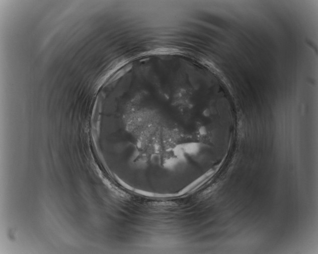 X0000100881425200807111331