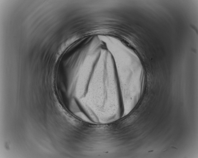 X0000100881426200807111331