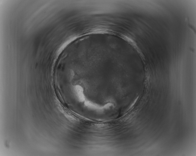 X0000100881427200807111331