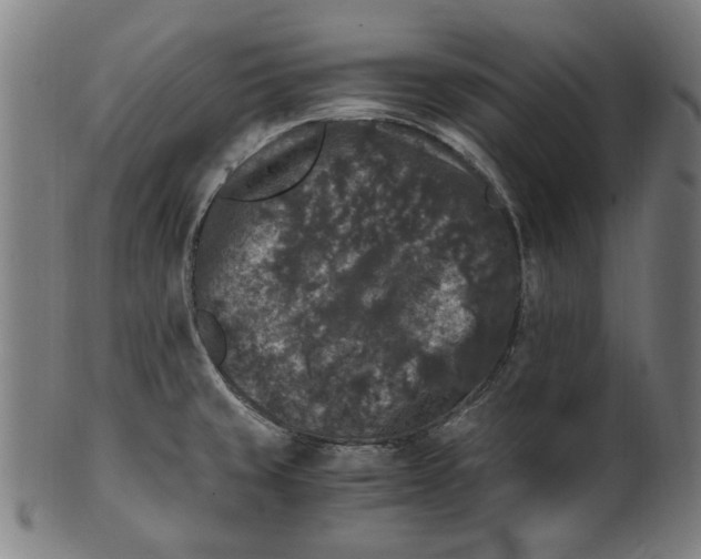 X0000100881429200807111331