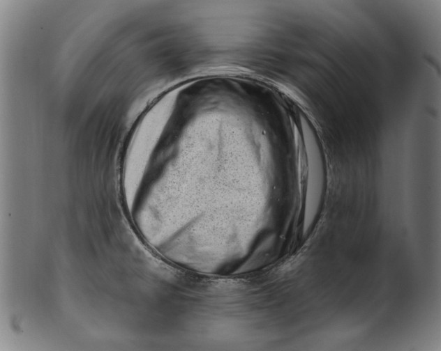 X0000100881430200807111331