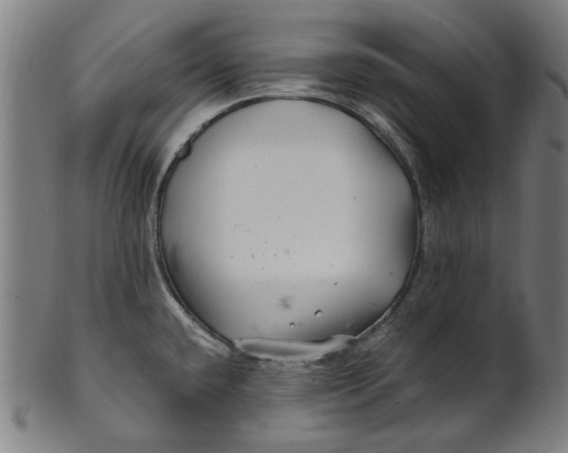 X0000100881432200807111331