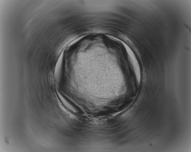 X0000100881433200807111331