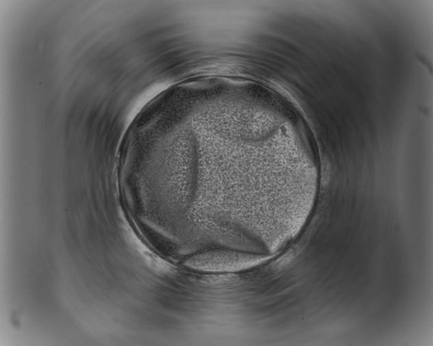 X0000100881434200807111331