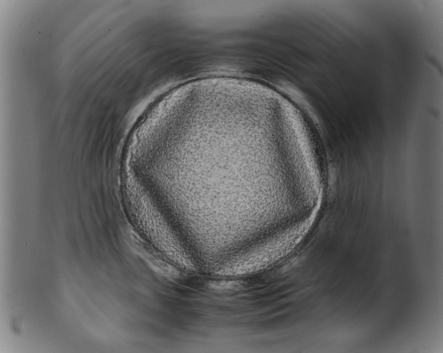 X0000100881435200807111331