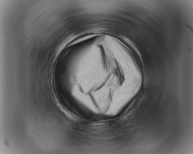 X0000100881437200807111331