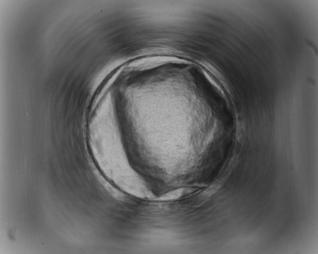 X0000100881438200807111331