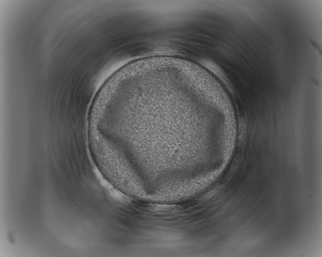 X0000100881439200807111331