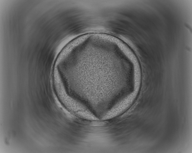 X0000100881440200807111331