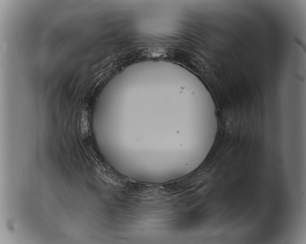 X0000100881442200807111331