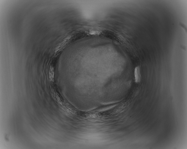 X0000100881443200807111331