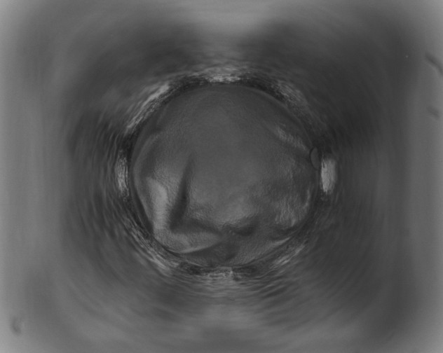 X0000100881444200807111331