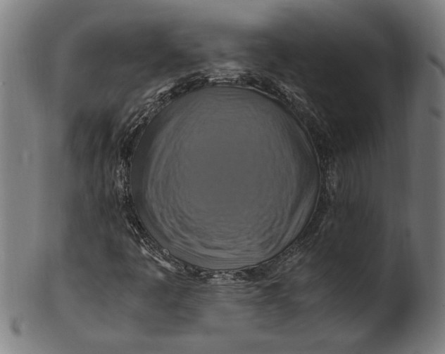 X0000100881445200807111331