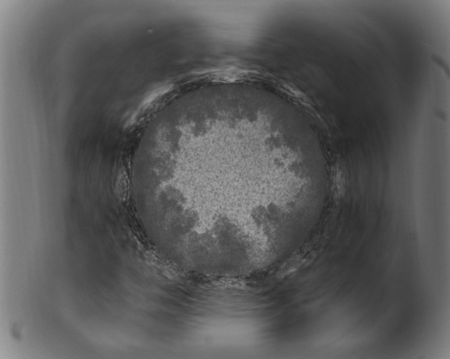 X0000100881446200807111331