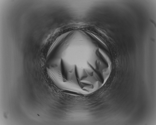 X0000100881447200807111331