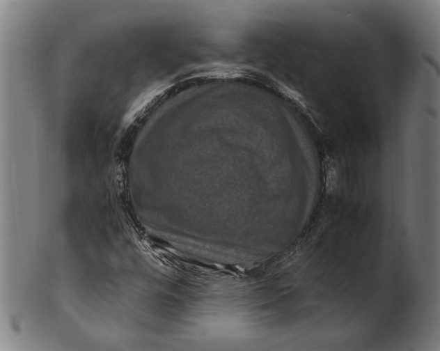 X0000100881448200807111331