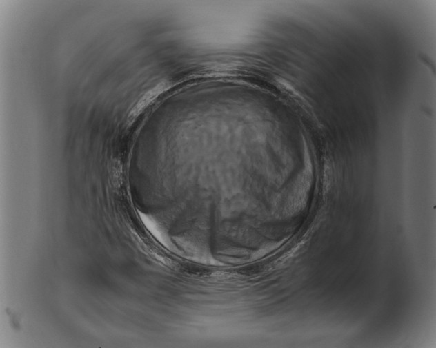 X0000100881449200807111331