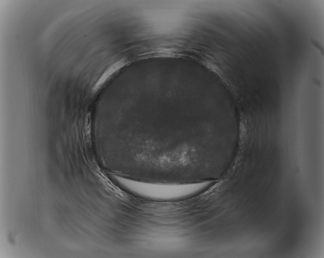 X0000100881450200807111331