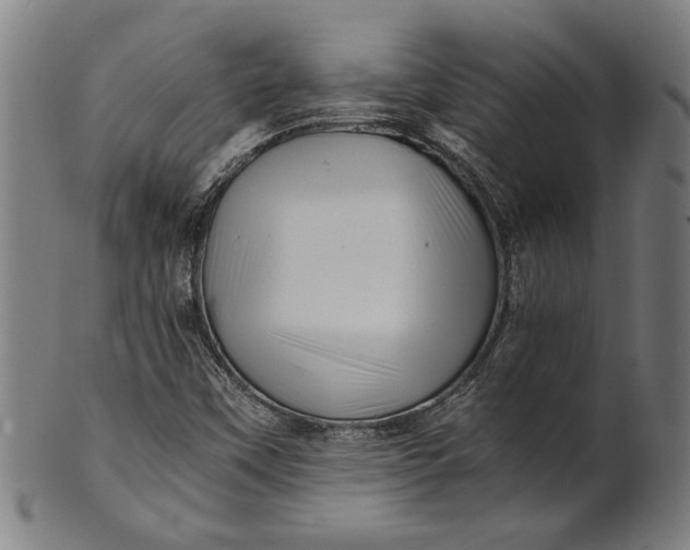 X0000100881451200807111331