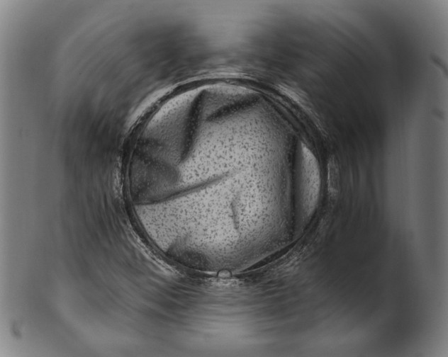 X0000100881452200807111331