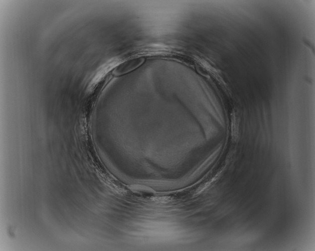 X0000100881453200807111331