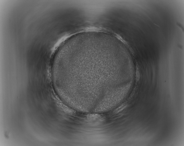 X0000100881454200807111331