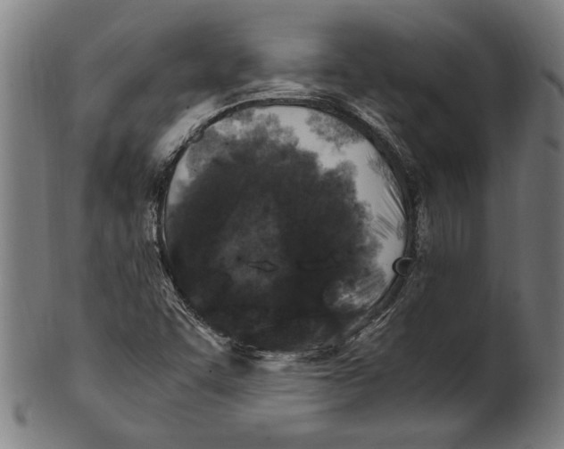 X0000100881455200807111331