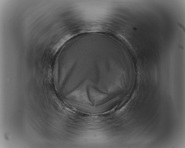 X0000100881457200807111330