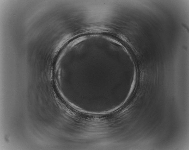 X0000100881459200807111330