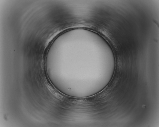 X0000100881460200807111330