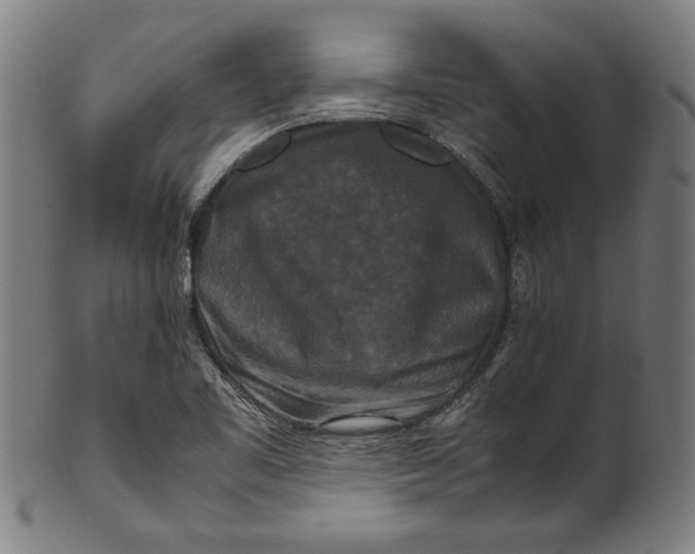 X0000100881461200807111330