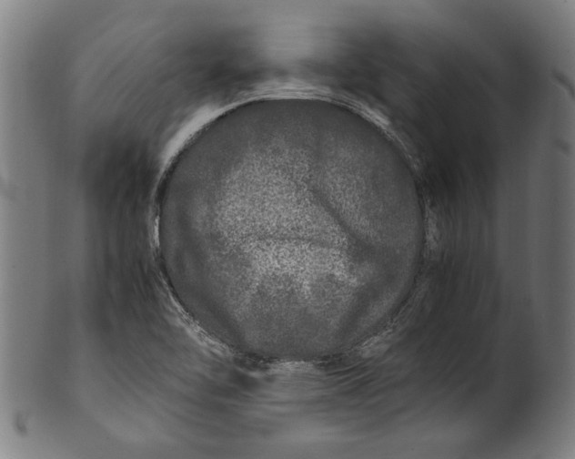 X0000100881462200807111330